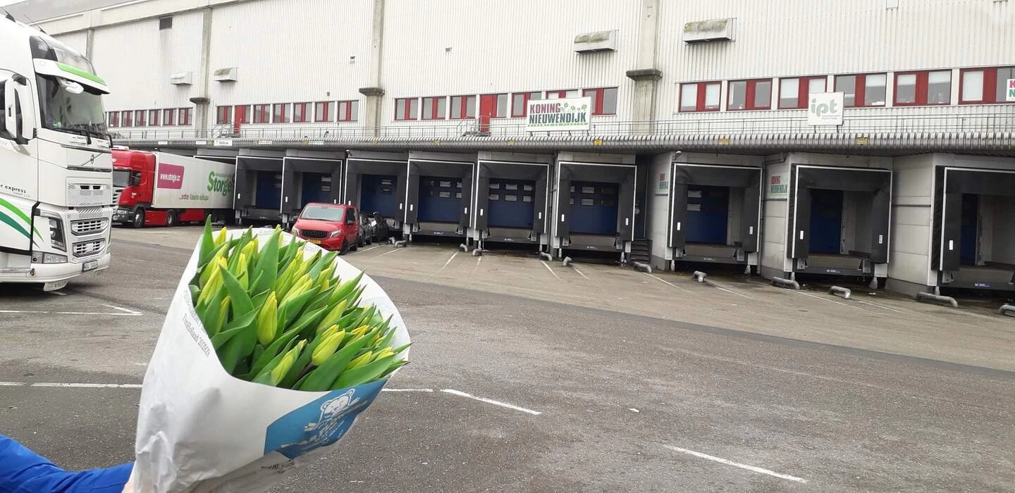 Koning Nieuwendijk, Lansue Export & Slaghek Export b.v.